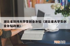 湖北省大学生创业补贴政策 湖北省扶持大学生创业补贴