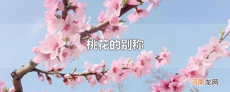 桃花的别称