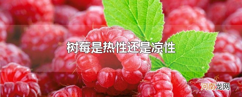 树莓是热性还是凉性