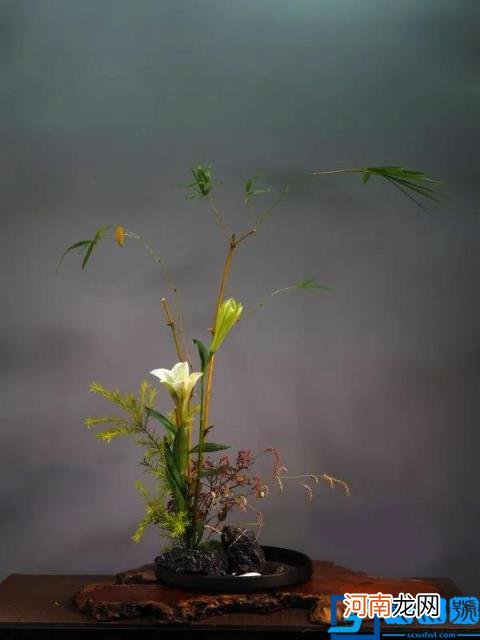 饮菊花酒登高佩戴茱萸是什么节日