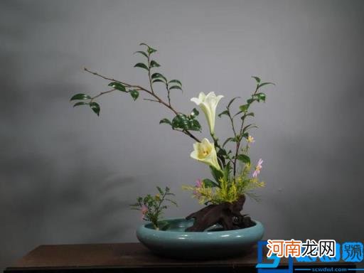 饮菊花酒登高佩戴茱萸是什么节日