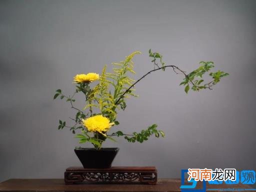 饮菊花酒登高佩戴茱萸是什么节日