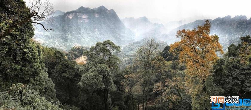 道教名山青城山最详细攻略 青城山旅游攻略