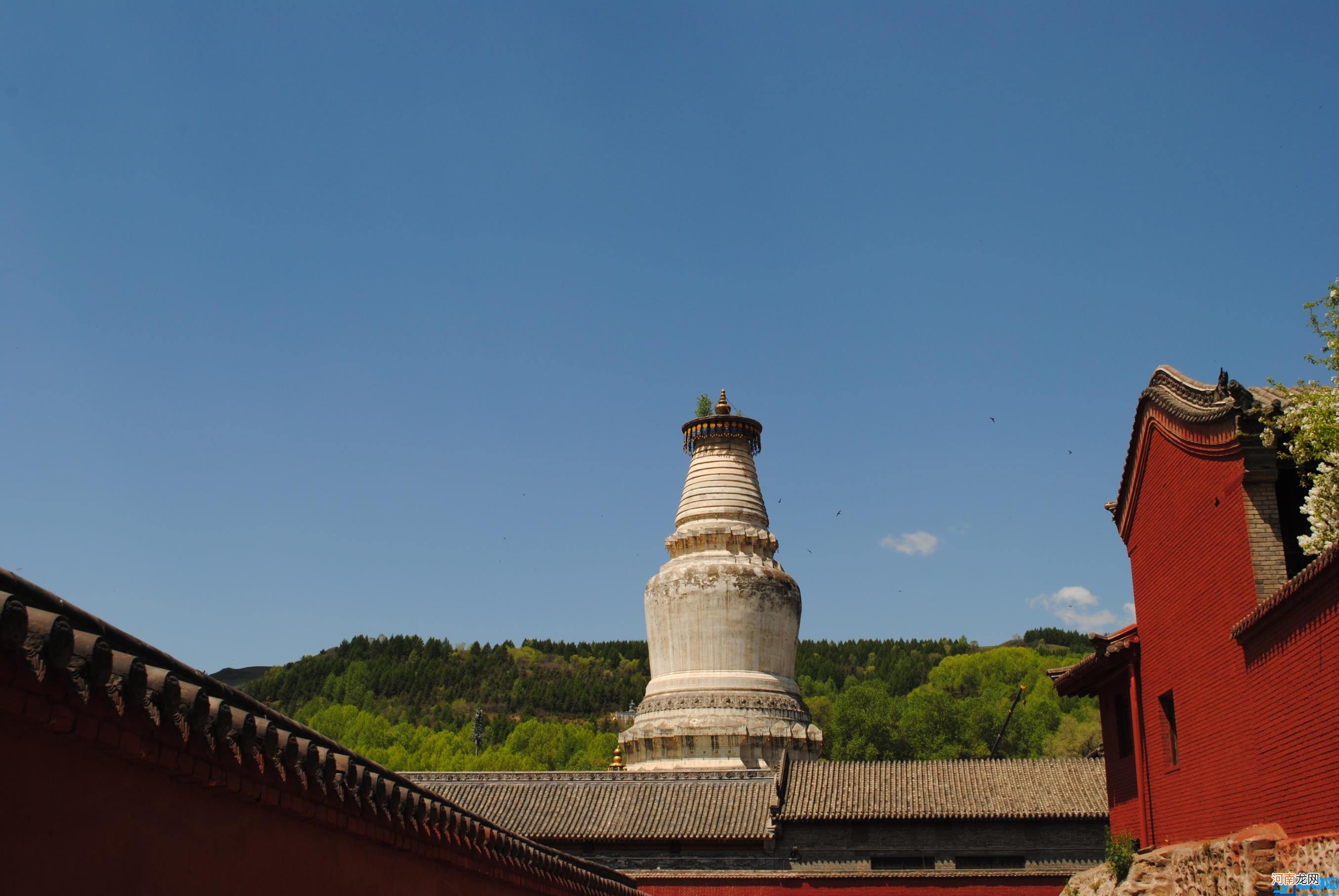 保姆级详细攻略，送给你们 五台山旅游攻略