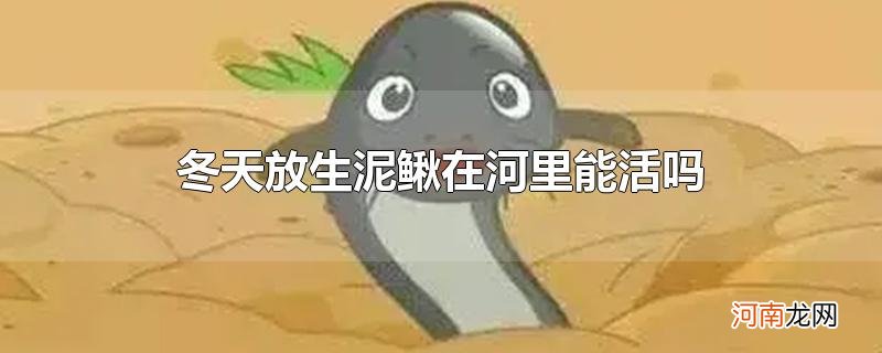 冬天放生泥鳅在河里能活吗