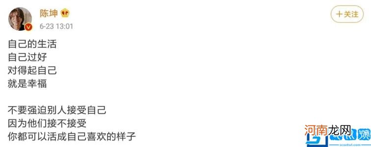 46岁仍未婚，将儿子当成全部 陈坤个人资料简介