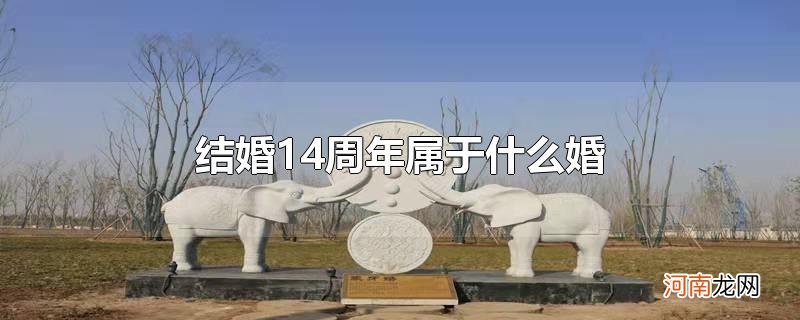 结婚14周年属于什么婚