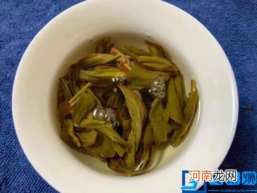 鸭屎香茶的功效与作用禁忌 鸭屎香是什么茶的功效