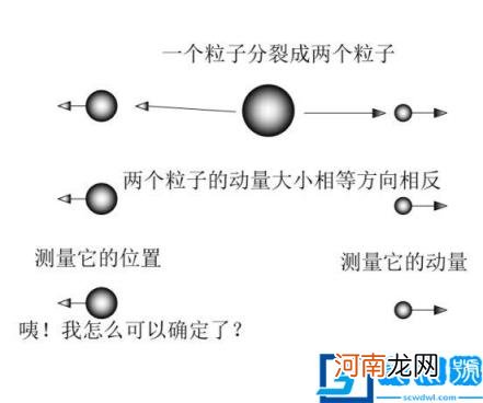 薛定谔的猫说明什么道理 薛定谔的猫告诉我们什么