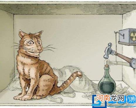 薛定谔的猫说明什么道理 薛定谔的猫告诉我们什么