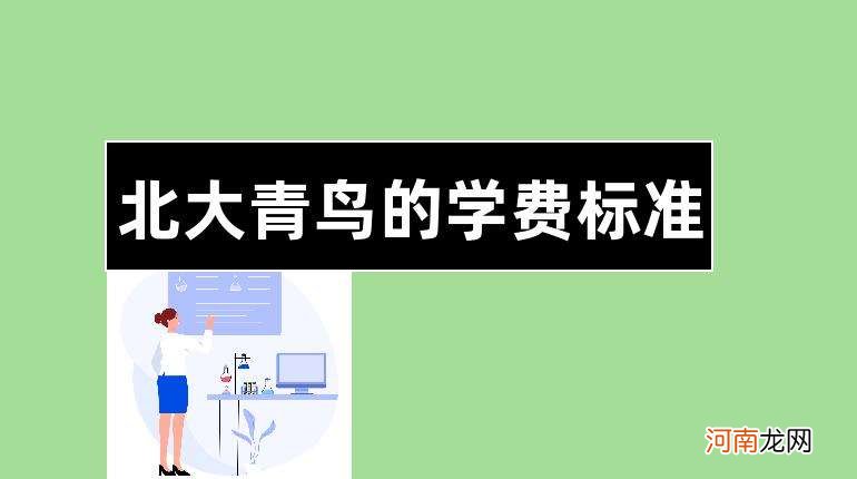 北大青鸟一年多少学费 北大青鸟一年多少学费多少