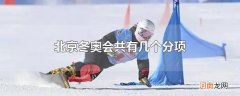 北京冬奥会共有几个分项