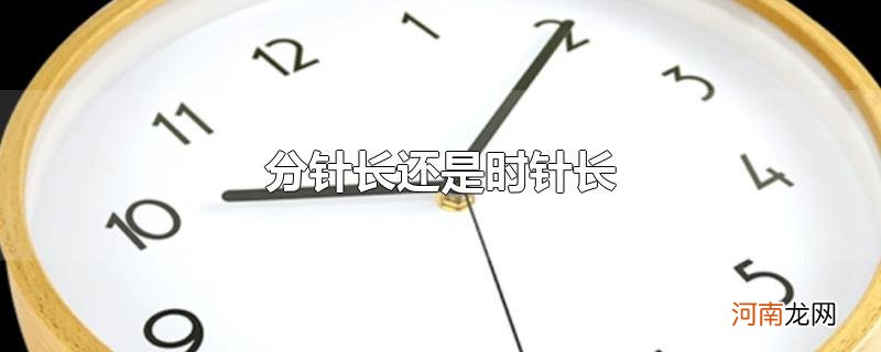 分针长还是时针长