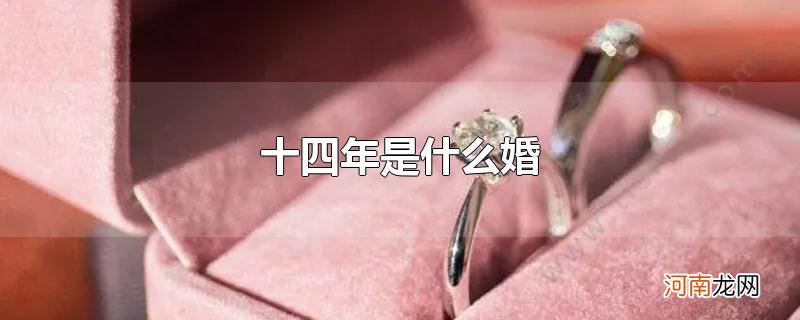 十四年是什么婚