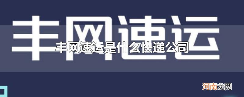 丰网速运是什么快递公司