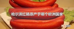 哈尔滨红肠原产于哪个欧洲国家