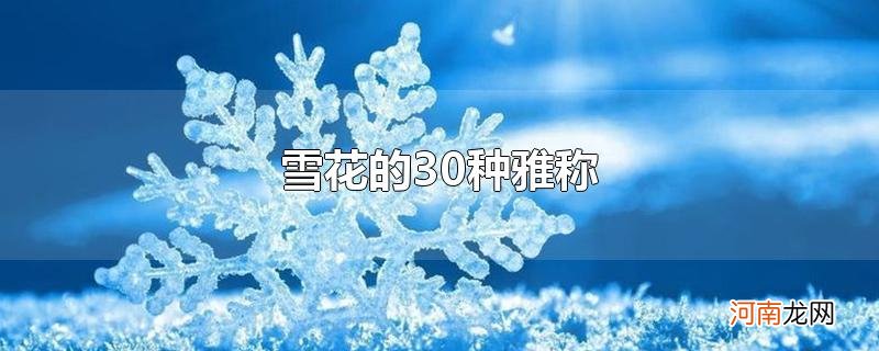 雪花的30种雅称