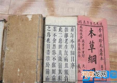 黄鼠狼图片大全大图 真实 黄鼠狼图片大全