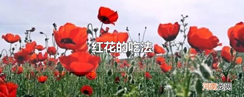 红花的吃法