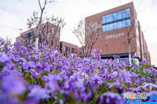 南开大学简介 南开大学在哪