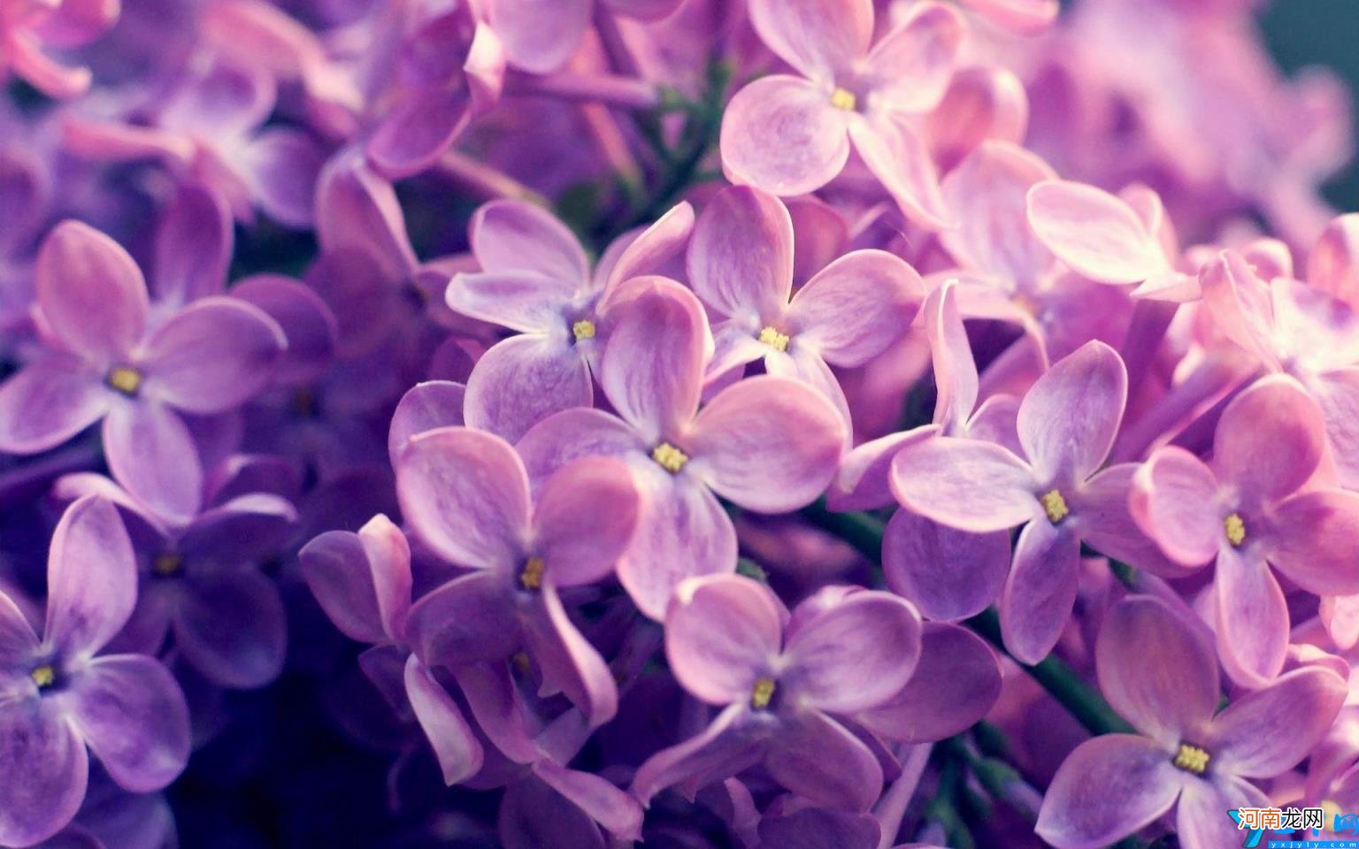 微信晒娃搞笑说说 晒娃幽默句子