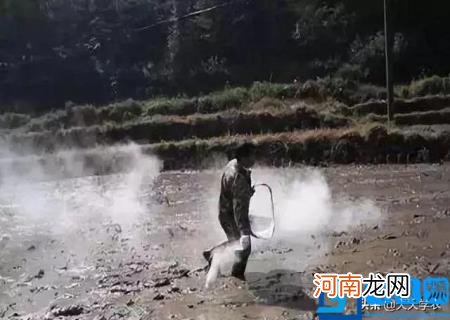 生石灰和熟石灰是什么区别 生石灰是啥熟石灰是啥