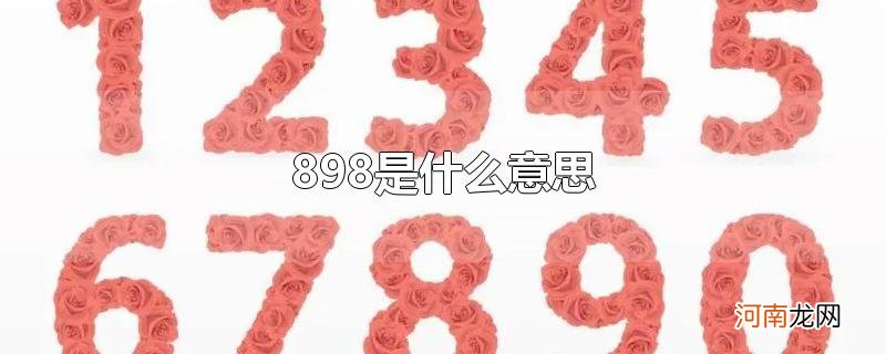898是什么意思