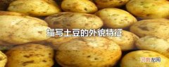 描写土豆的外貌特征