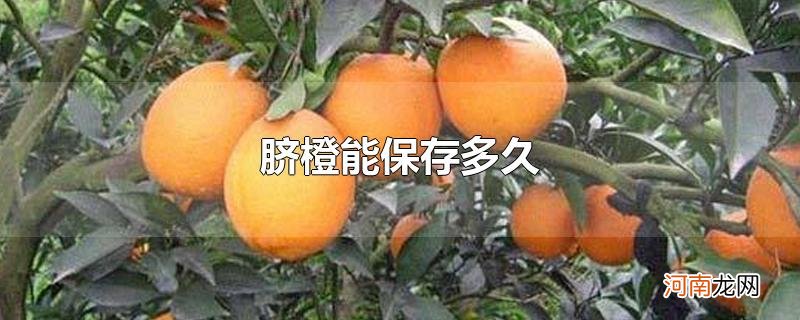 脐橙能保存多久