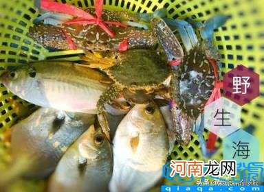 海南自驾游最佳路线图 5日环岛自驾线路