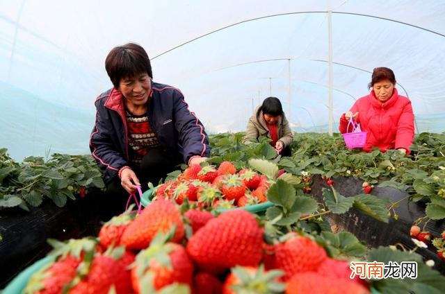 汝阳县扶持农民搞创业 汝州农民工返乡创业政策