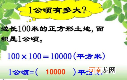 1亩地等于多少平方米 1亩地等于多少平方米是几年级学的