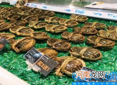 熟螃蟹保存的方法和时间 2个小妙招放1周还鲜活