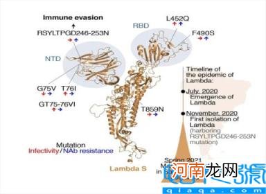 最危险的突变株拉姆达出现 毒王新冠蔓延41个国家