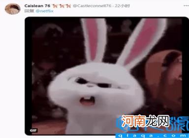 为什么远离FURRY控 furry是什么圈子