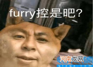 为什么远离FURRY控 furry是什么圈子