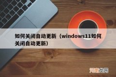windows11如何关闭自动更新 如何关闭自动更新