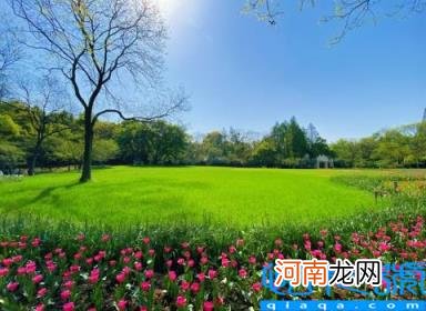 杭州西湖十大景点介绍 杭州暑假游玩十大打卡地