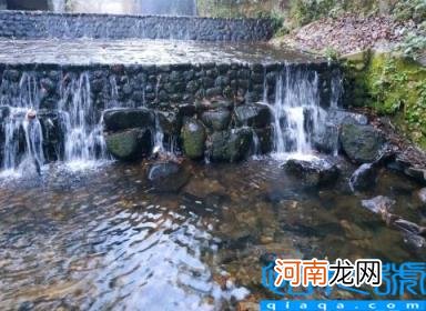 杭州西湖十大景点介绍 杭州暑假游玩十大打卡地