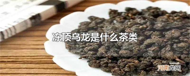 冻顶乌龙是什么茶类