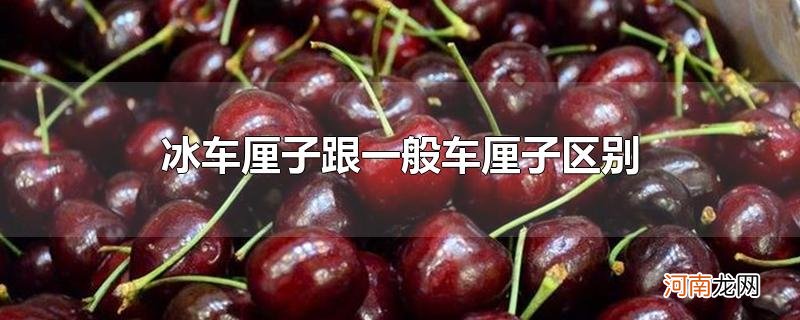 冰车厘子跟一般车厘子区别