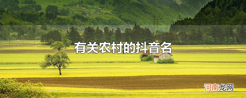 有关农村的抖音名