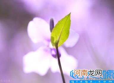 怎么样做亲子鉴定最准确 一分钟看完亲子鉴定全流程