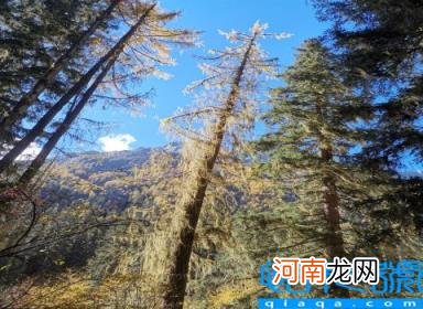 四川四姑娘山在哪里 值得收藏的旅行攻略