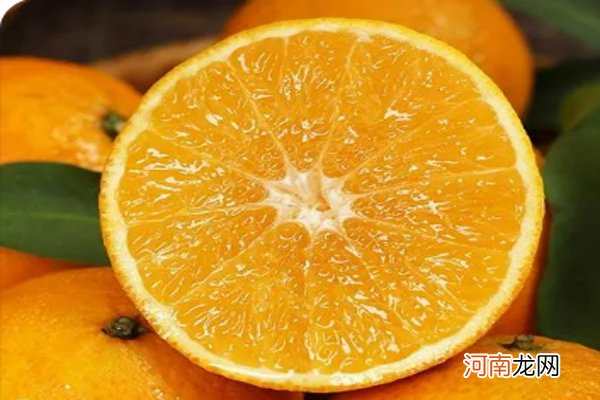 橘子和桔子区别在哪 橘子是什么