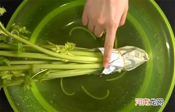 芹菜怎么保存时间长还新鲜 保存芹菜要保持充足的水分