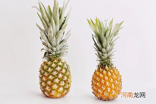 菠萝和凤梨的区别在哪里 菠萝和凤梨是什么水果