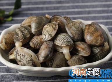 花甲怎样吐沙子吐得干净 教你2招花甲快速吐沙