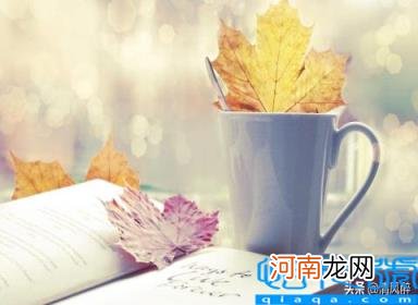 生日短句八个字朋友圈 不油腻的生日说说文案