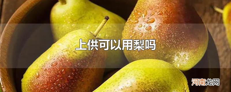 上供可以用梨吗